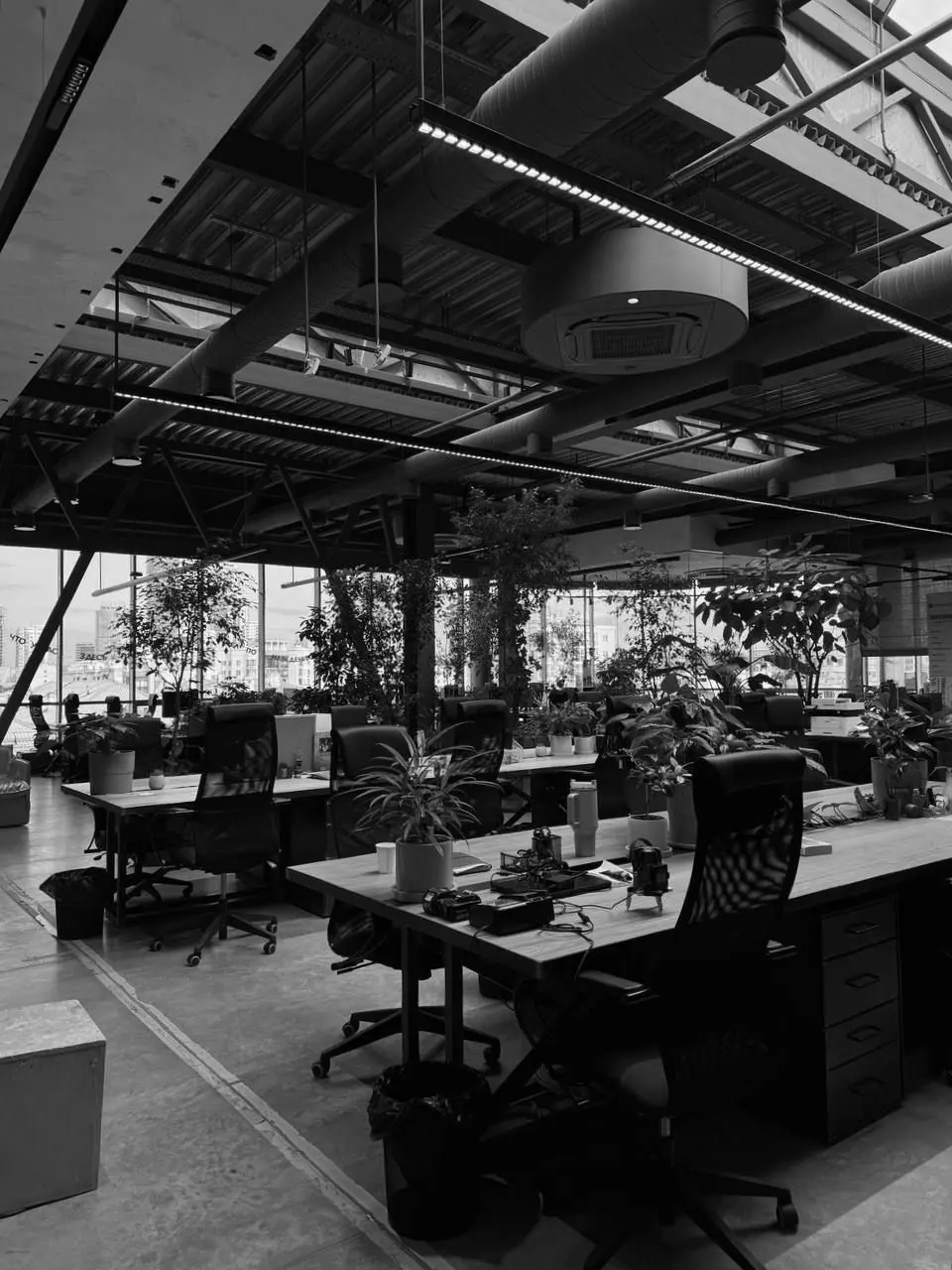 Open office with desks by the windows